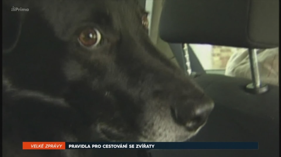 28. 7. 2018 VELKÉ ZPRÁVY: PRAVIDLA PRO CESTOVÁNÍ SE ZVÍŘATY